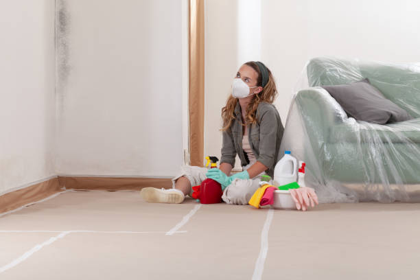 Reliable Hvac And Air Duct Mold Remediation contractor in East Jordan, MI by 24 Hour Mold Removal